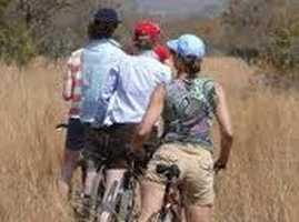 Mountain-biking Safari through the Dinokeng Game Reserve (Gauteng)